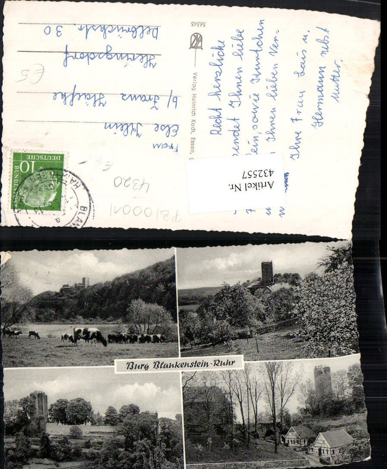 432557,Burg Blankenstein b. Hattingen Rinder Mehrbildkarte