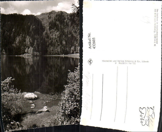 432603, Feldsee Lake in the Black Forest near Feldberg