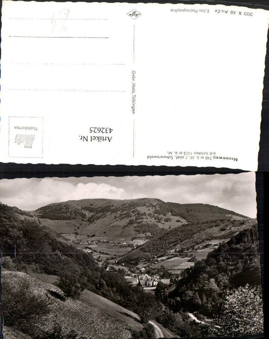 432625, Neuenweg in the Black Forest, total view including Belchen