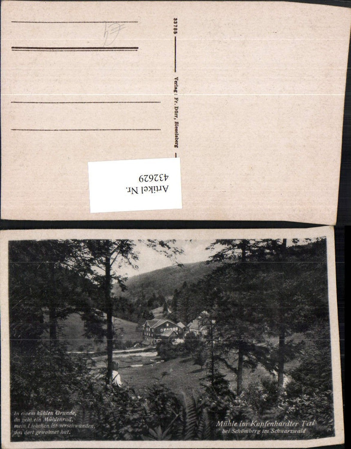 432629,Schömberg im Schwarzwald Mühle im Kapfenhardter Tal Wassermühle