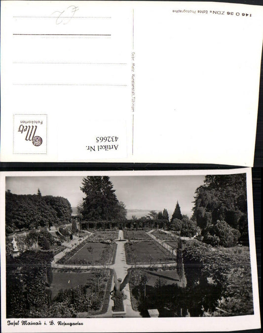 432665, Mainau Island in Lake Constance, Rose Garden