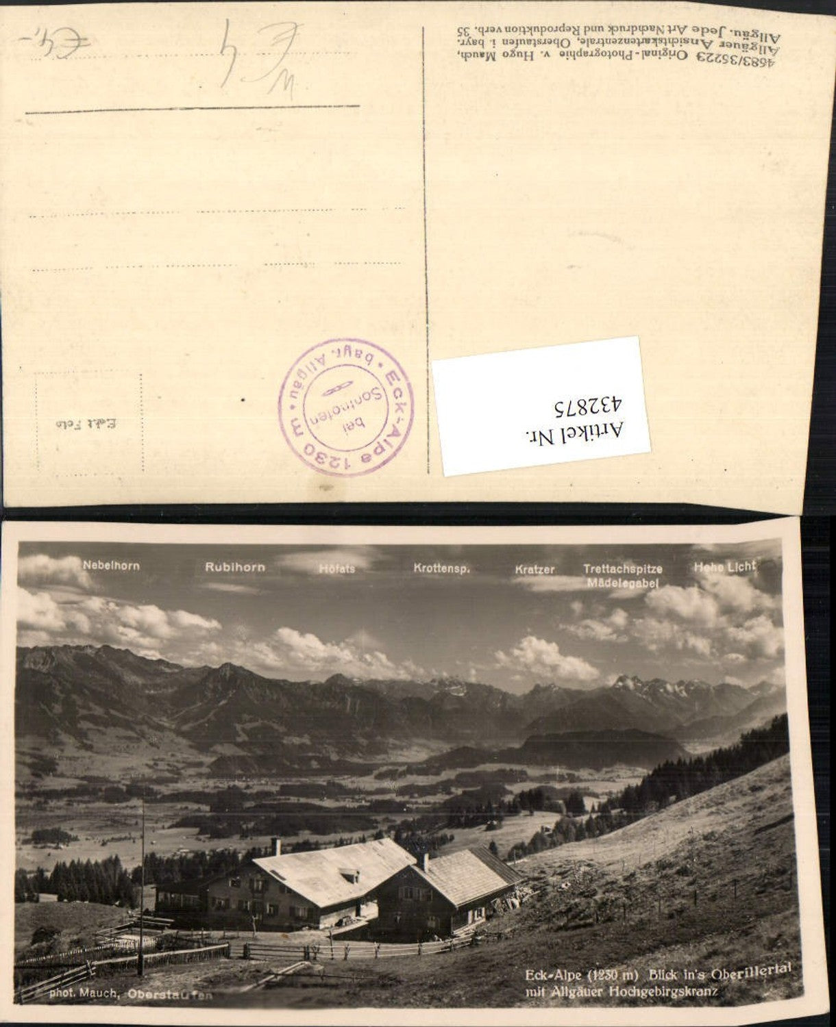 432875,Ecke-Alpe b. Sonthofen m. Blick ins Oberillertal Bergkulisse