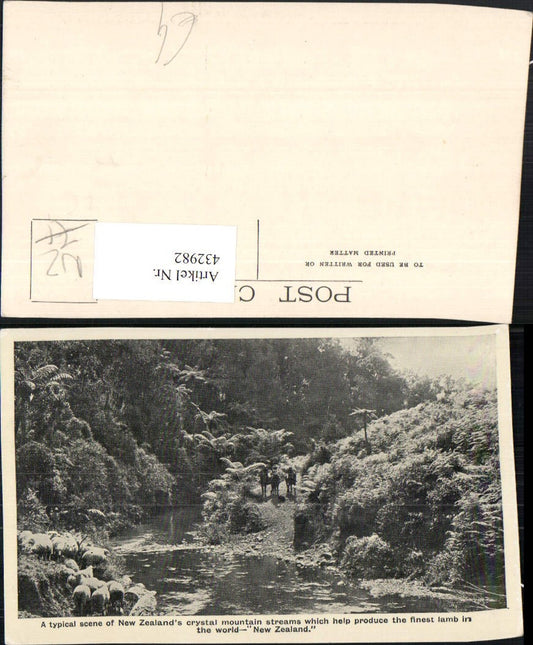 432982,New Zealand Neuseeland Crystal mountain streams Fluss Schafe