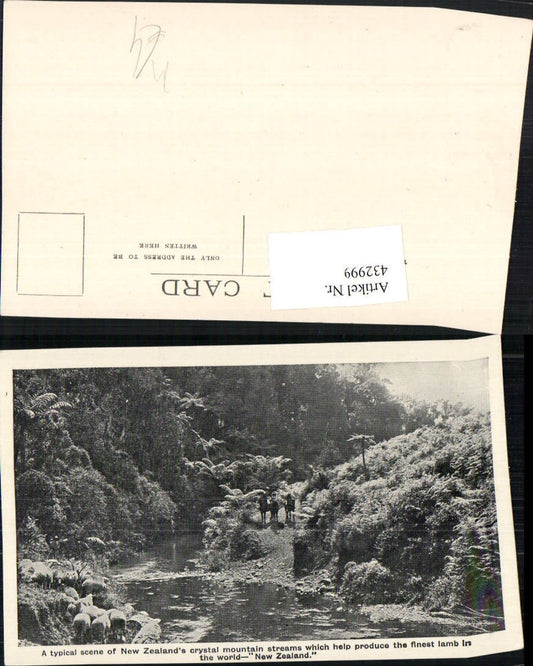 432999,New Zealand Neuseeland Crystal mountain streams Fluss Schafe