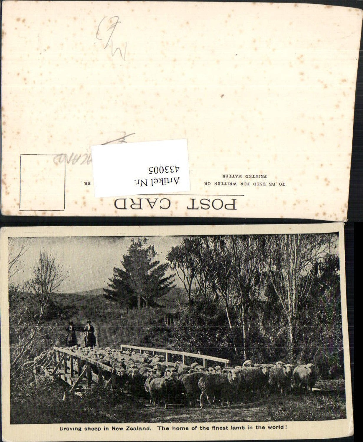 433005,New Zealand Neuseeland Droving sheep Schafherde Schafe Schäfer Brücke