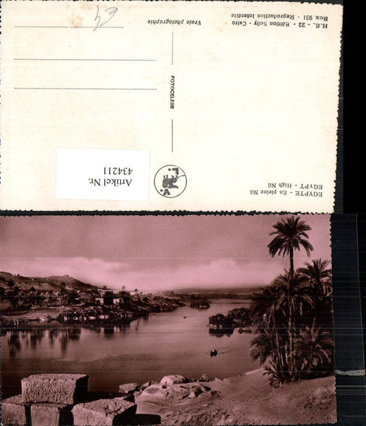 434211,Egypt High Nil Fluss Palmen