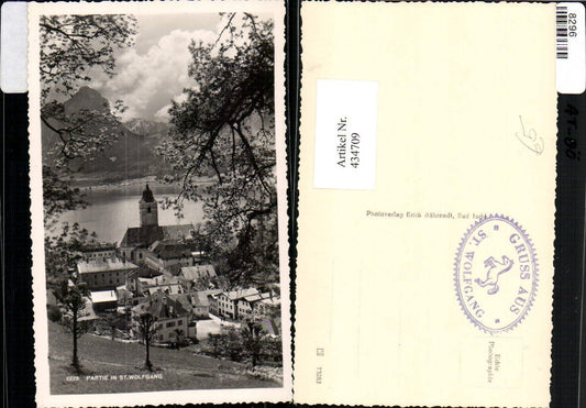 434709,St. Wolfgang Totale Baumblüte