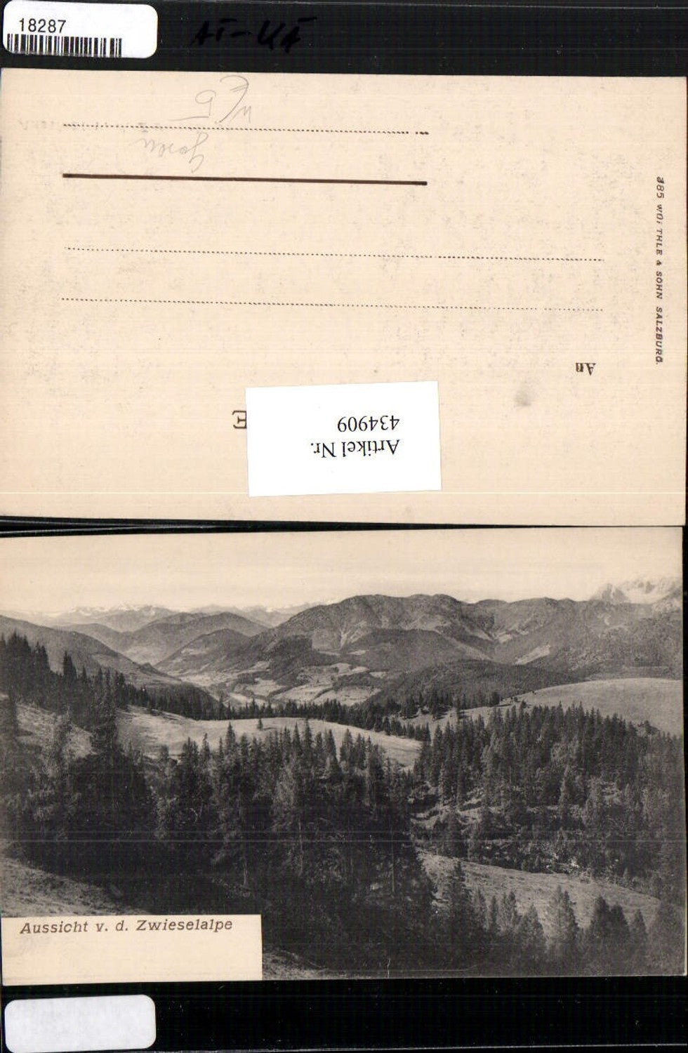 434909,Aussicht von d. Zwieselalpe b. Gosau Bergkulisse