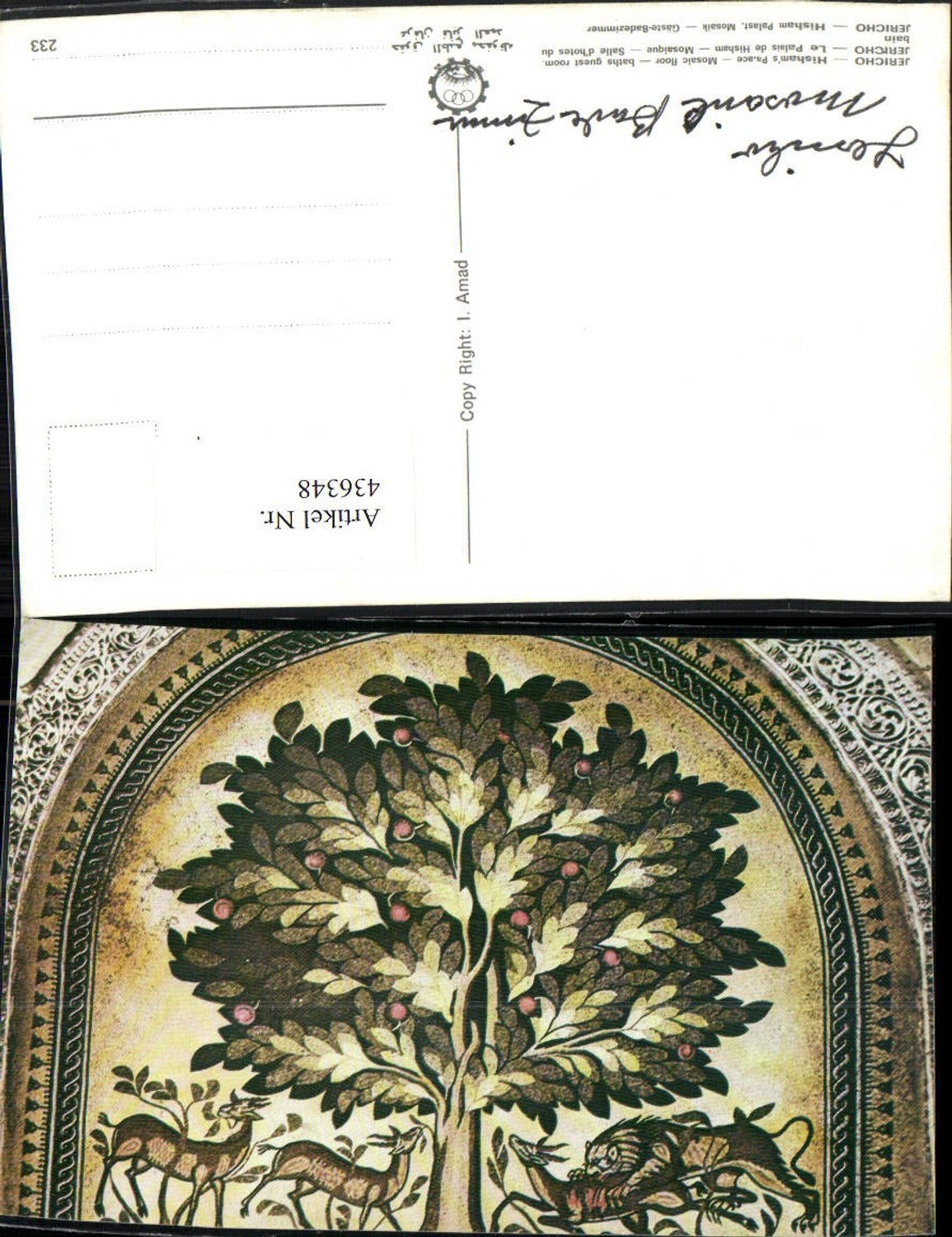 436348,Palästina Jericho Hisham Palace Palast Mosaic Gäste-Badezimmer