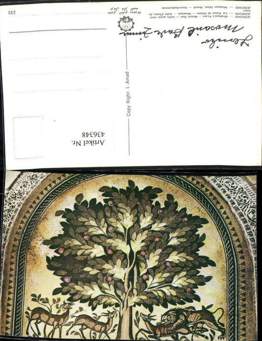 436348,Palästina Jericho Hisham Palace Palast Mosaic Gäste-Badezimmer