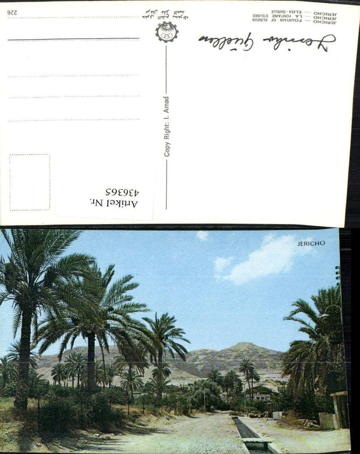 436365,Palästina Jericho Fountain of Eliseus Quele Palmen