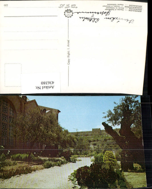 436380,Israel Jerusalem Garden of Gethsemane Garten