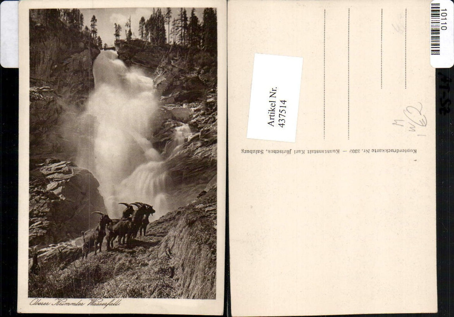 437514,Krimml Oberer Wasserfall Steinbock