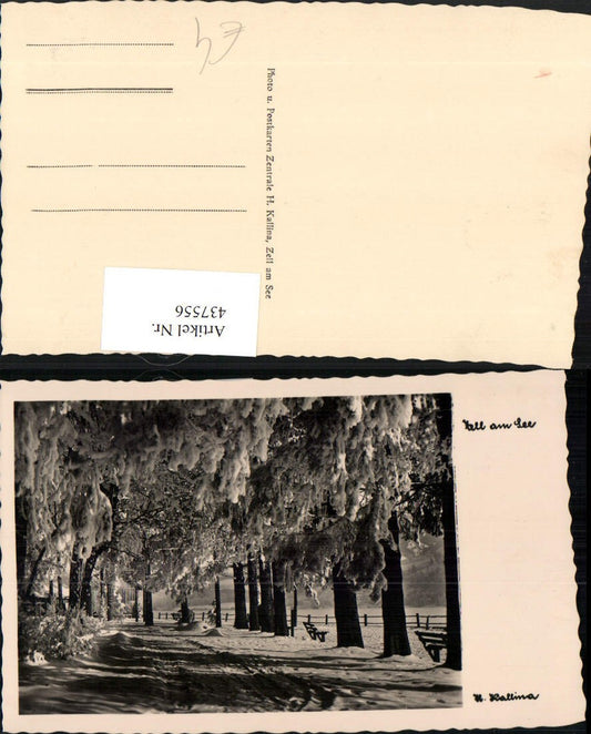 437556,Zell am See Promenade Winterbild