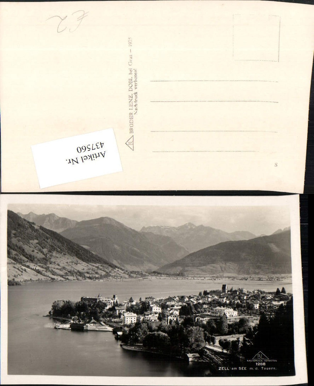 437560,Zell am See Totale m. Tauern Bergkulisse