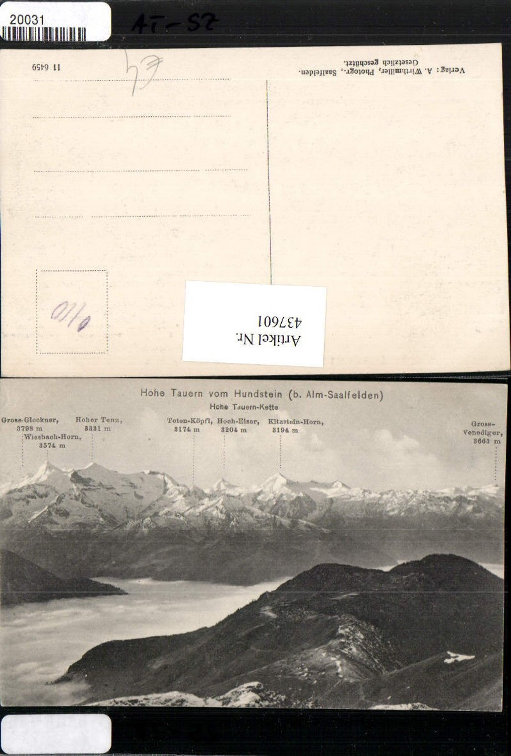 437601,Hohe Tauern vom Hundstein b. Alm Saalfelden Bergkulisse