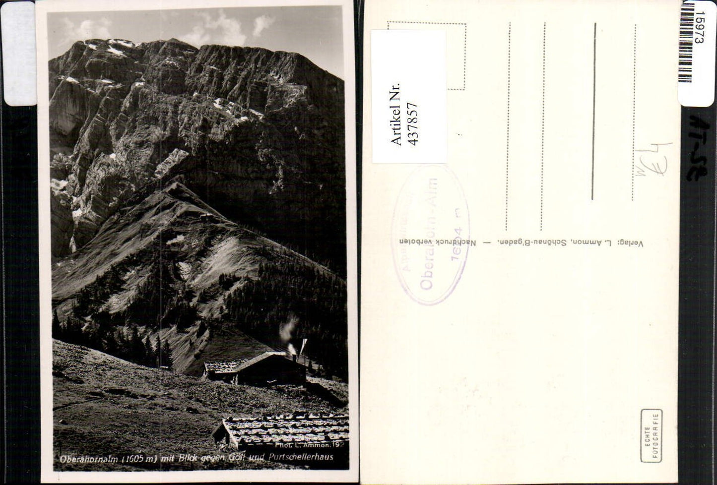 437857,Oberahornalm m. Blick geg. Göll u. Purtschellerhaus b. Berchtesgaden Bergkulisse