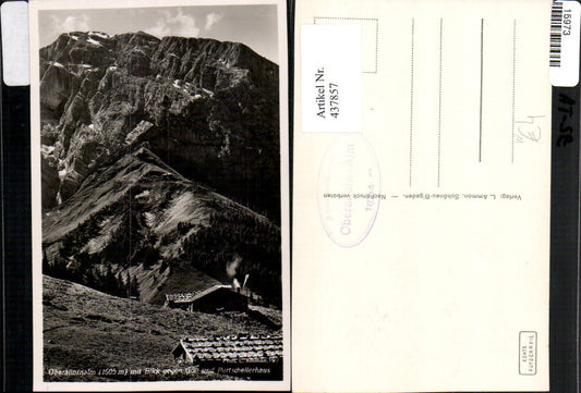 437857,Oberahornalm m. Blick geg. Göll u. Purtschellerhaus b. Berchtesgaden Bergkulisse