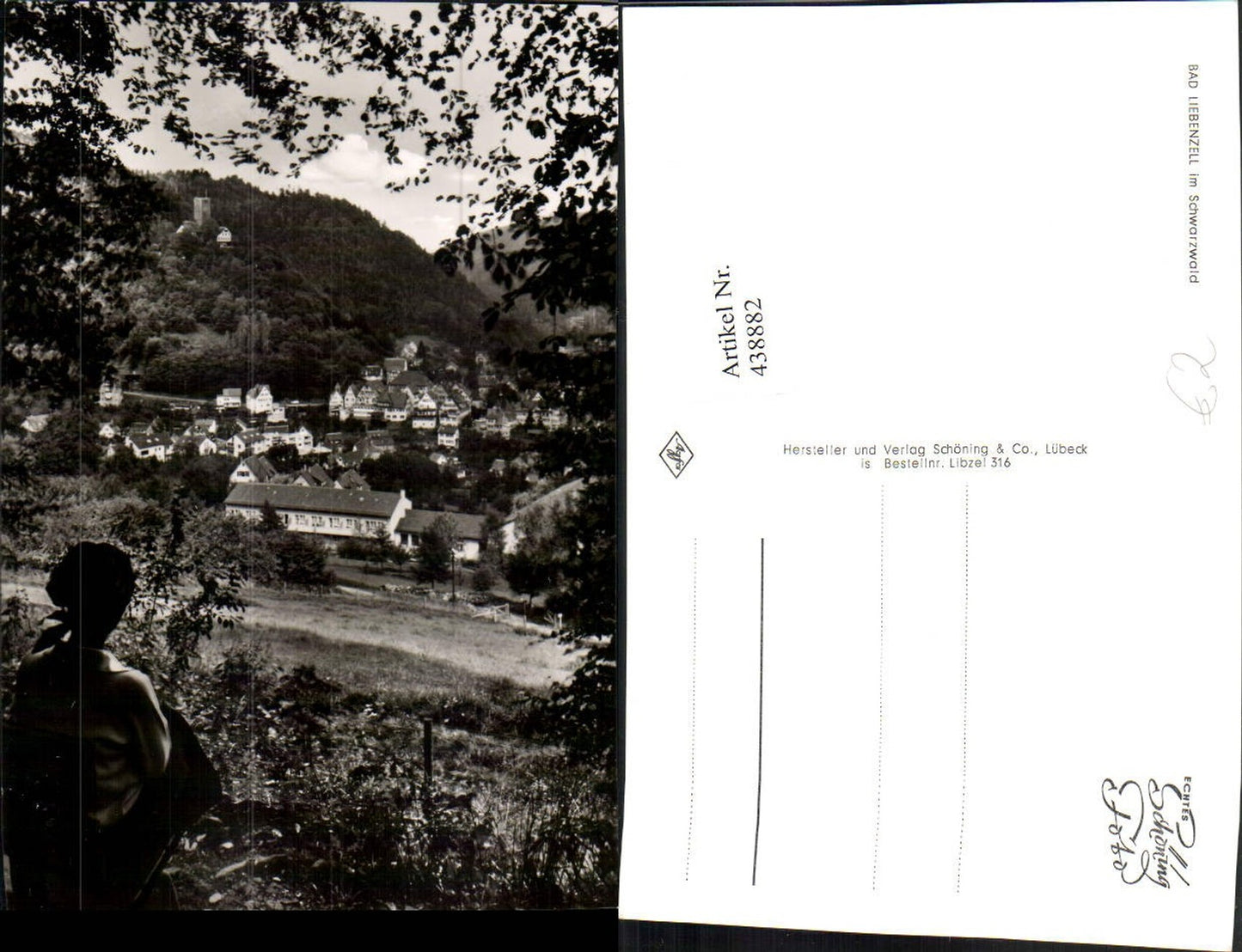 438882,Bad Liebenzell im Schwarzwald Teilansicht
