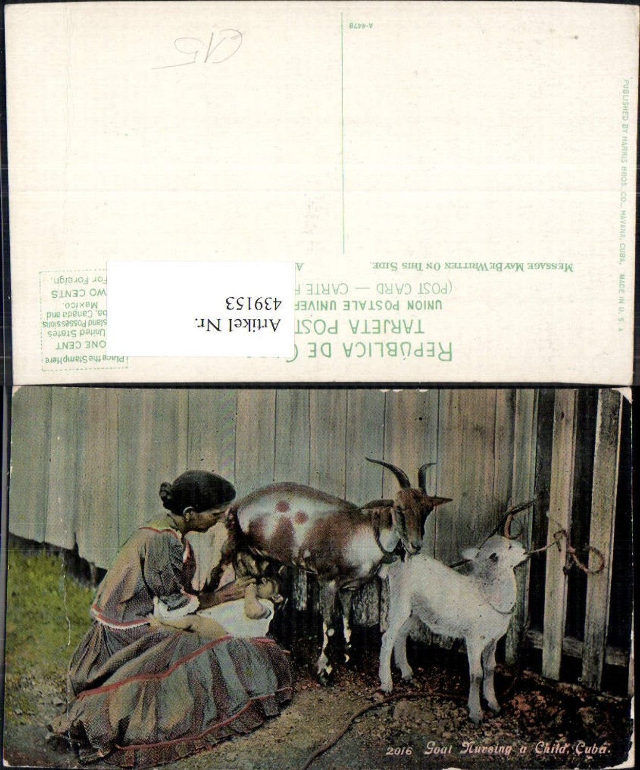 439153,Frau als Mutter Kind trinkt b. Ziege Goat Nursing a Child Cuba Kuba