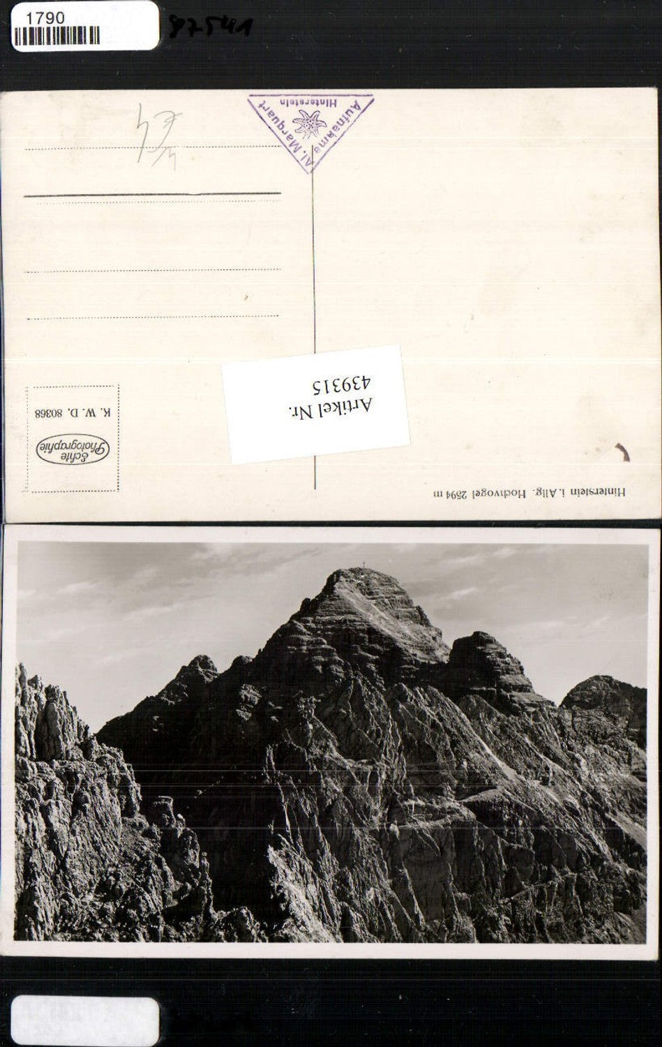 439315,Hinterstein im Allgäu Hochvogel Bergkulisse