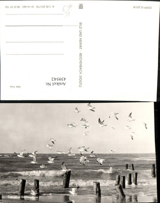 439542,Ostseebad Kühlungsborn Strand Meer Möwen pub VEB