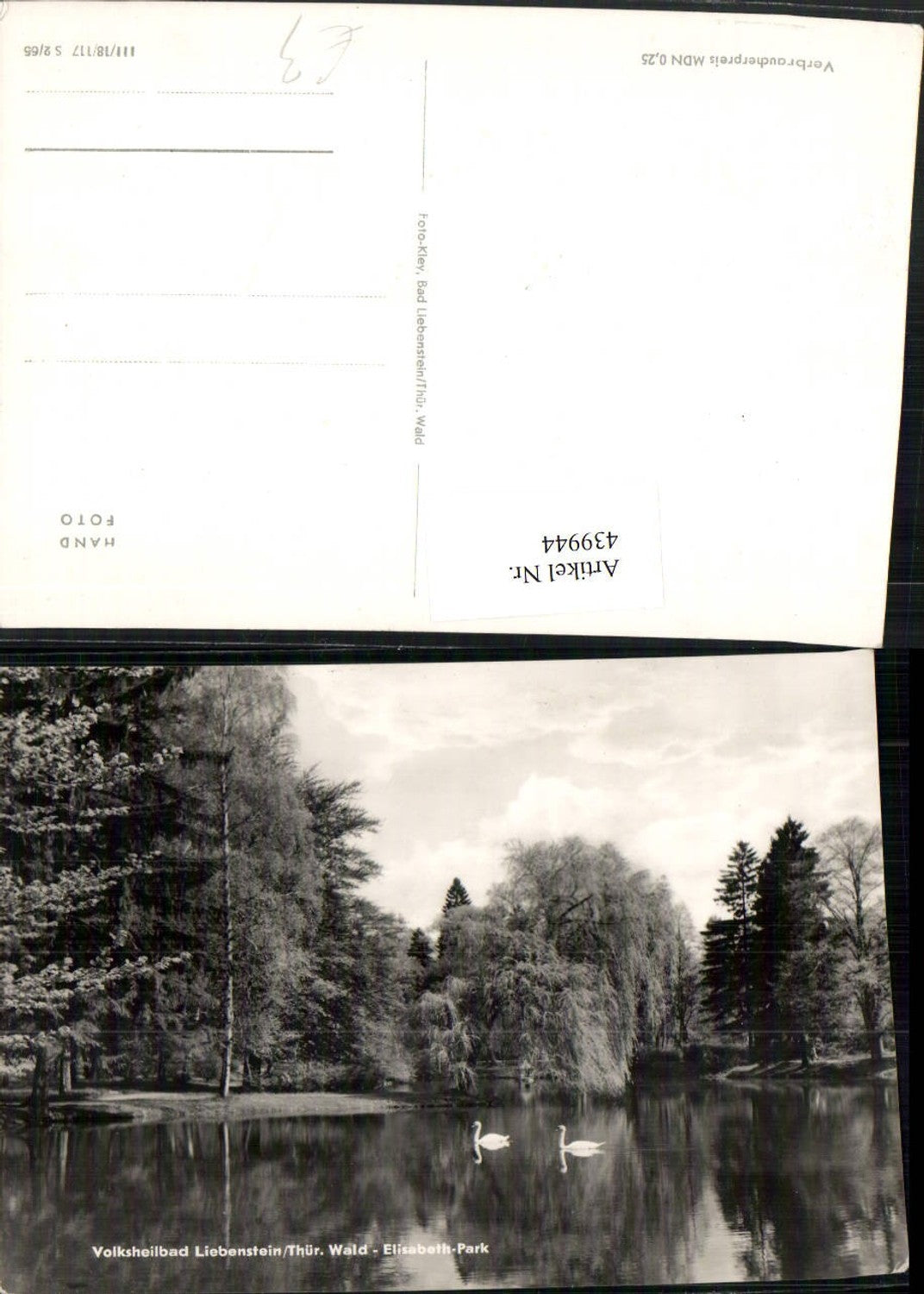 439944,Bad Liebenstein Wald-Elisabeth-Park Teich