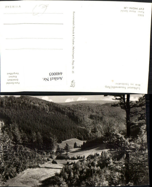 440003, Frauenwald am Rennsteig, view into the Tränkbach valley
