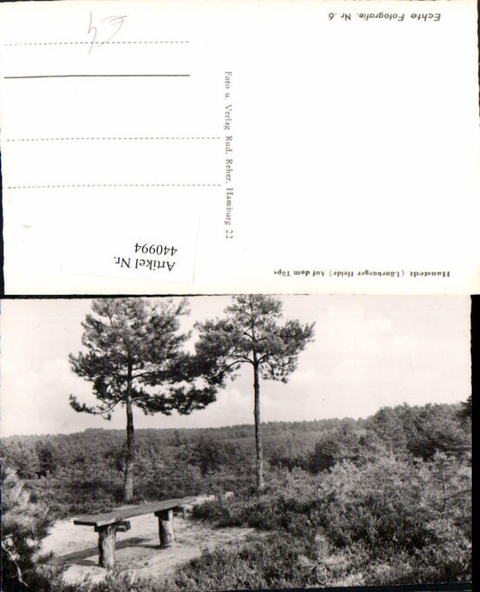 440994,Lüneburger Heide Hanstedt Auf dem Töps Landschaft