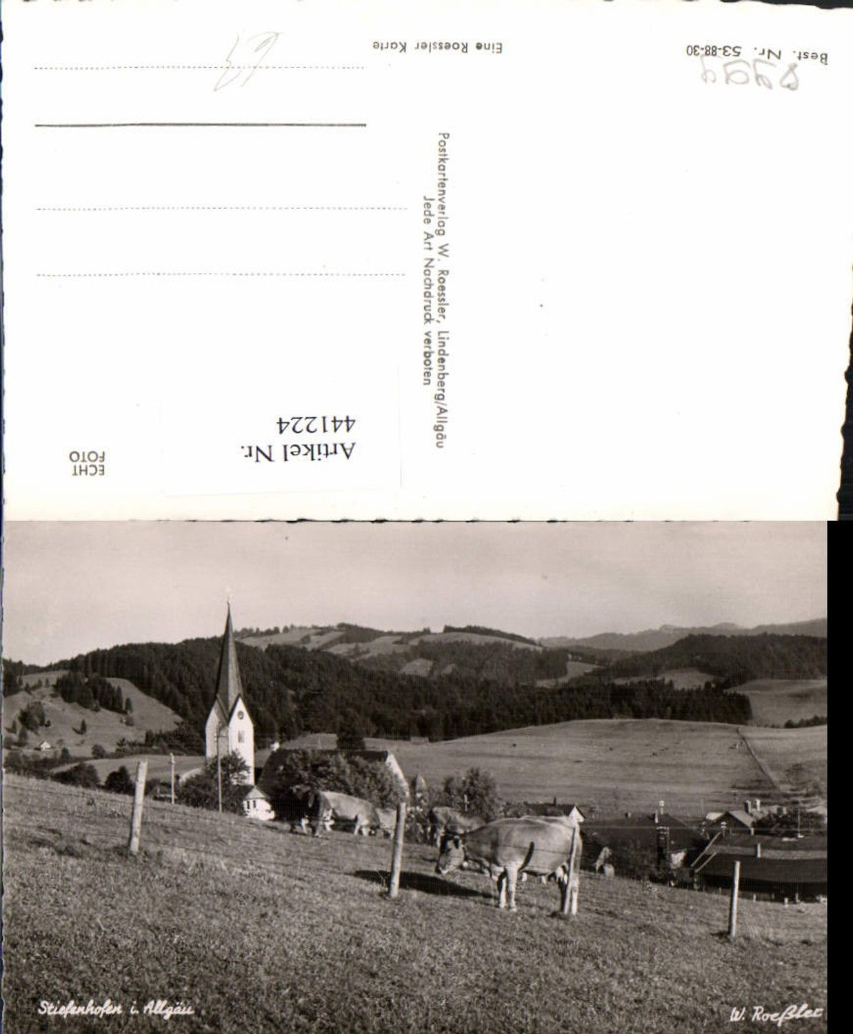 441224,Stiefenhofen im Allgäu Teilansicht Kirche Rinder