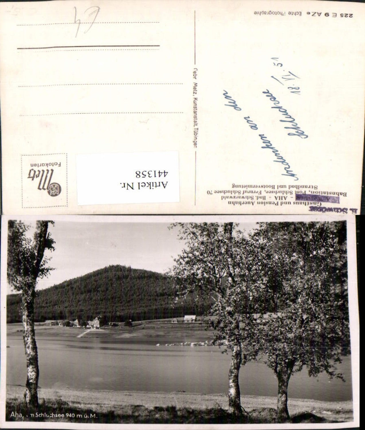 441358, Aha am Schluchsee See Birken