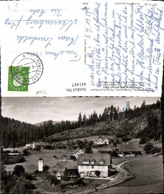 441447,Erbersbronn im Schwarzwald b. Forbach Gasthaus zum grünen Wald