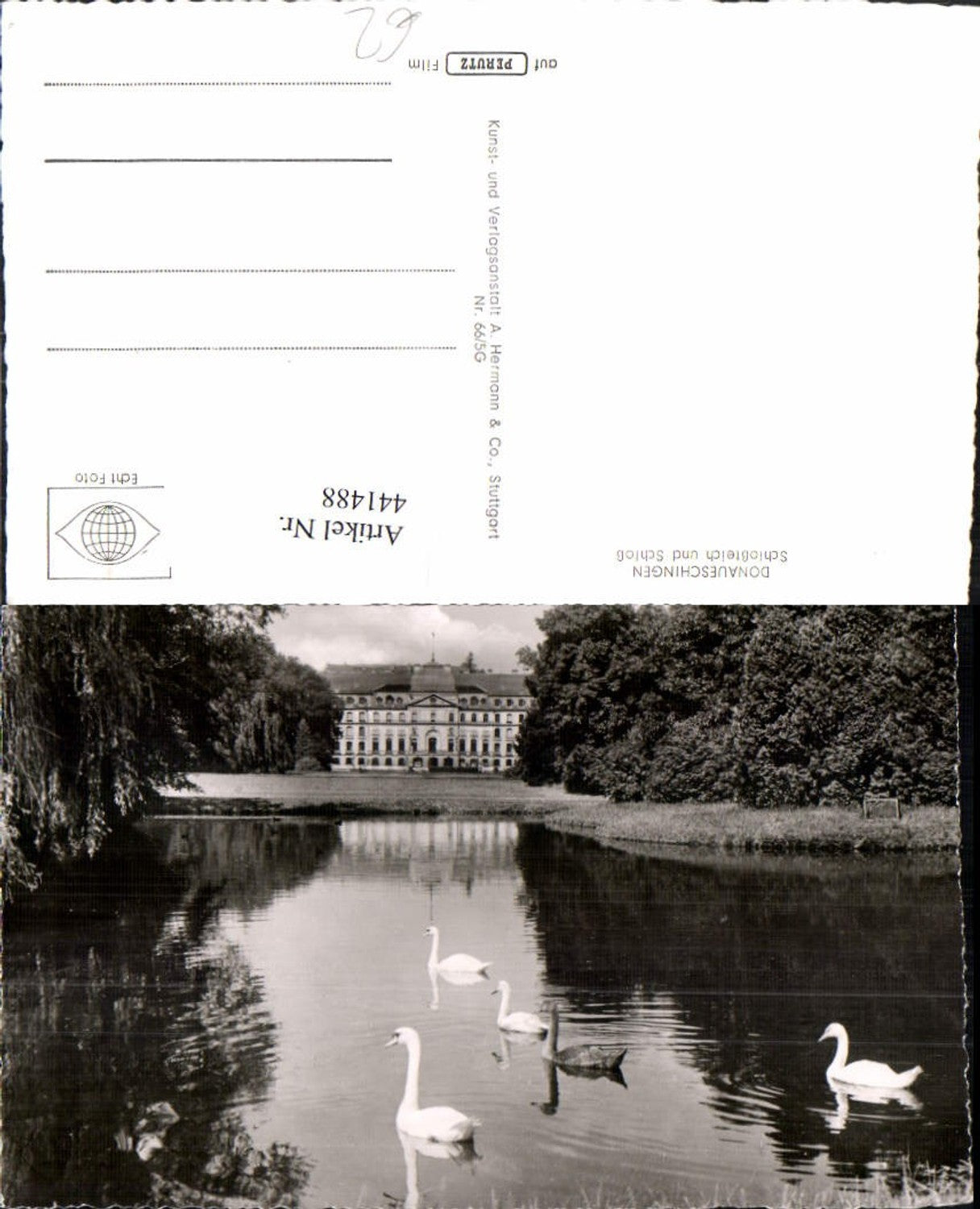 441488,Donaueschingen Schlossteich u. Schloss Schwäne