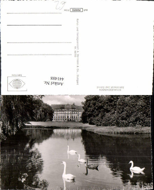 441488,Donaueschingen Schlossteich u. Schloss Schwäne