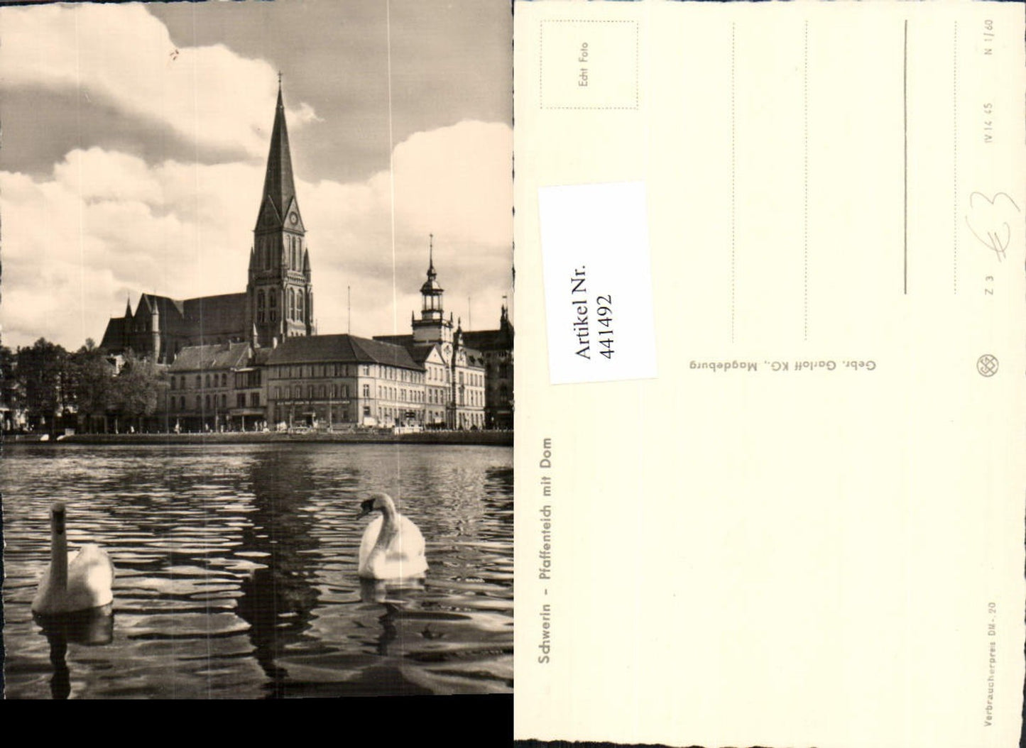 441492,Schwerin Pfaffenteich m. Dom Kirche Schwäne