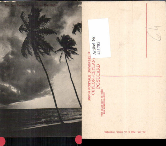 441782,Ceylon Sri Lanka Colombo Sea Shore Meer Palmen