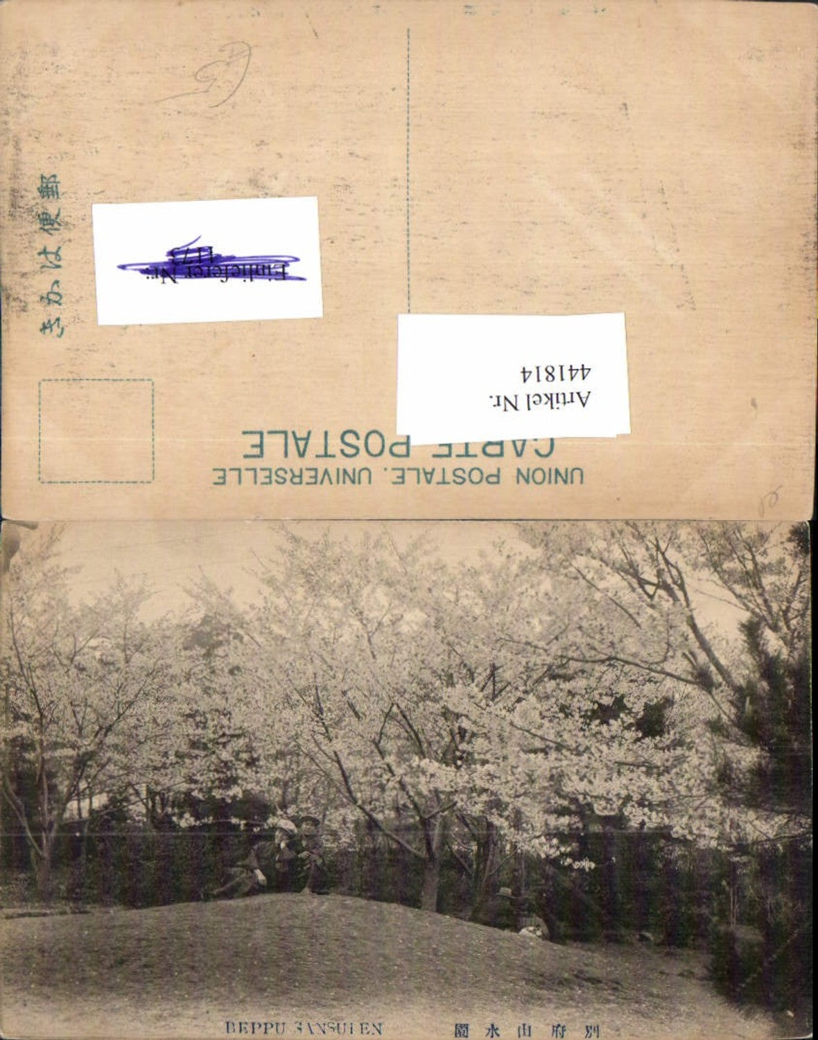 441814,Japan Beppu Sansui-En Park Baumblüte