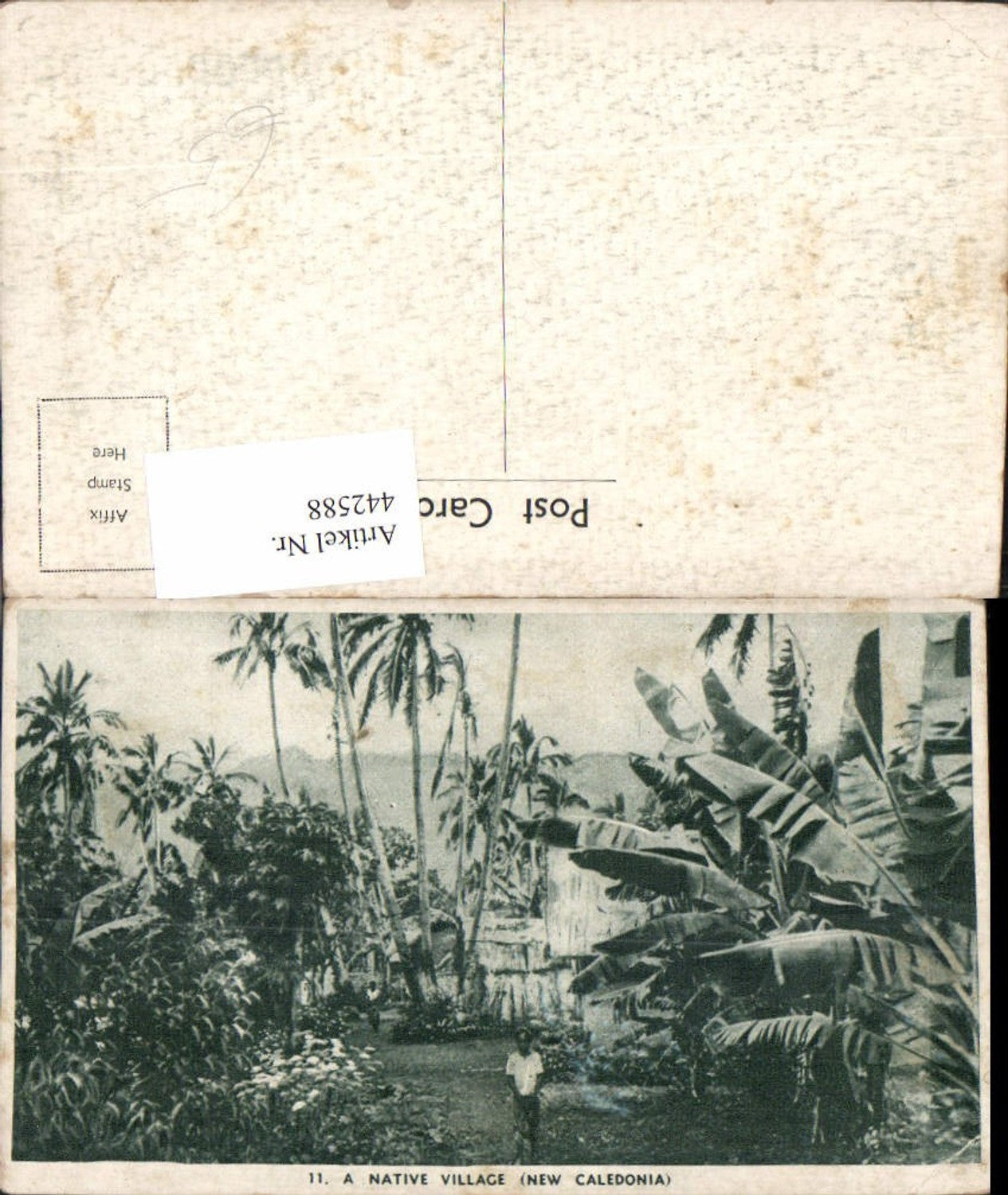 442588,Neukaledonien New Caledonia Native Village Volkstypen Palmen