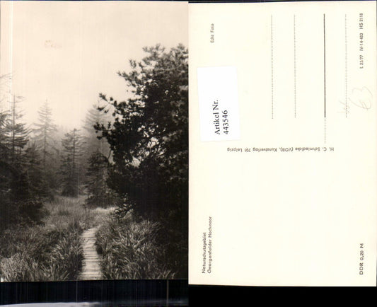 443546,Georgenfelder Hochmoor b. Zinnwald-Georgenfeld Wegpartie