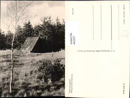 443547,Georgenfelder Hochmoor b. Zinnwald-Georgenfeld Hütte