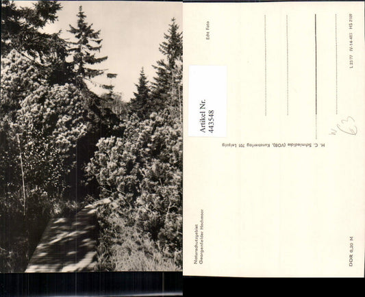 443548,Georgenfelder Hochmoor b. Zinnwald-Georgenfeld Wegpartie