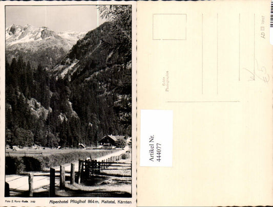 444077,Maltatal b. Malta in Kärnten Alpenhotel Pflüglhof Bergkulisse