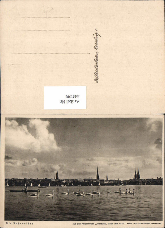 444299,Hamburg Teilansicht Außenalster Schwäne