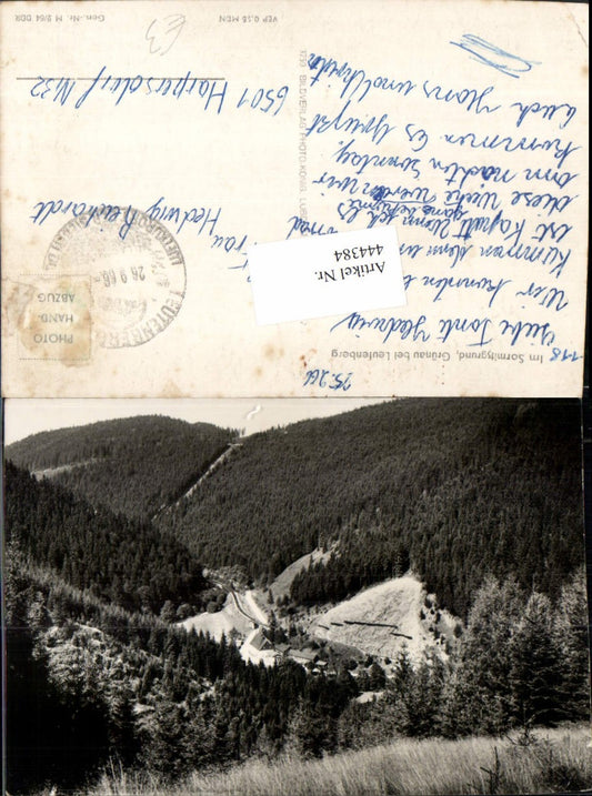 444384, Grünau near Leutenberg Sormitzgrund Forest