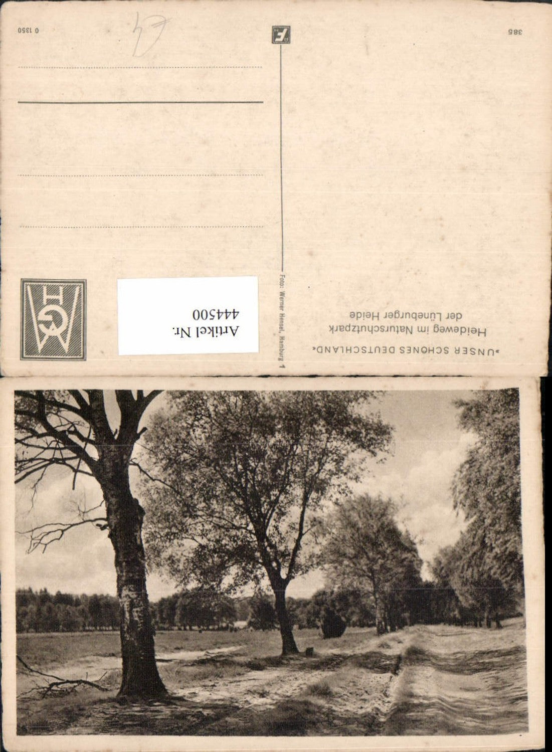 444500,Lüneburger Heide Heideweg Wegpartie Landschaft