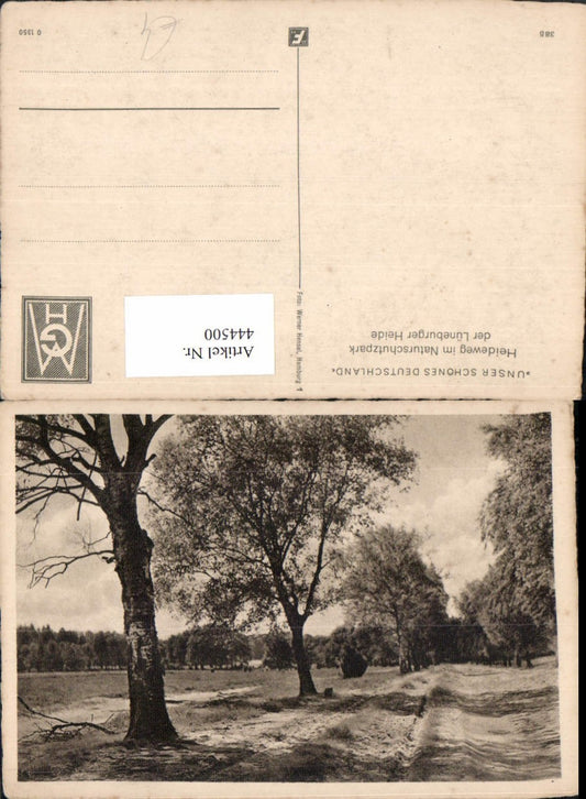 444500,Lüneburger Heide Heideweg Wegpartie Landschaft