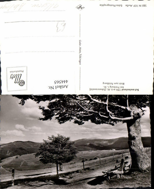 444565, Freiburg im Breisgau, Schauinsland, view towards the Feldberg