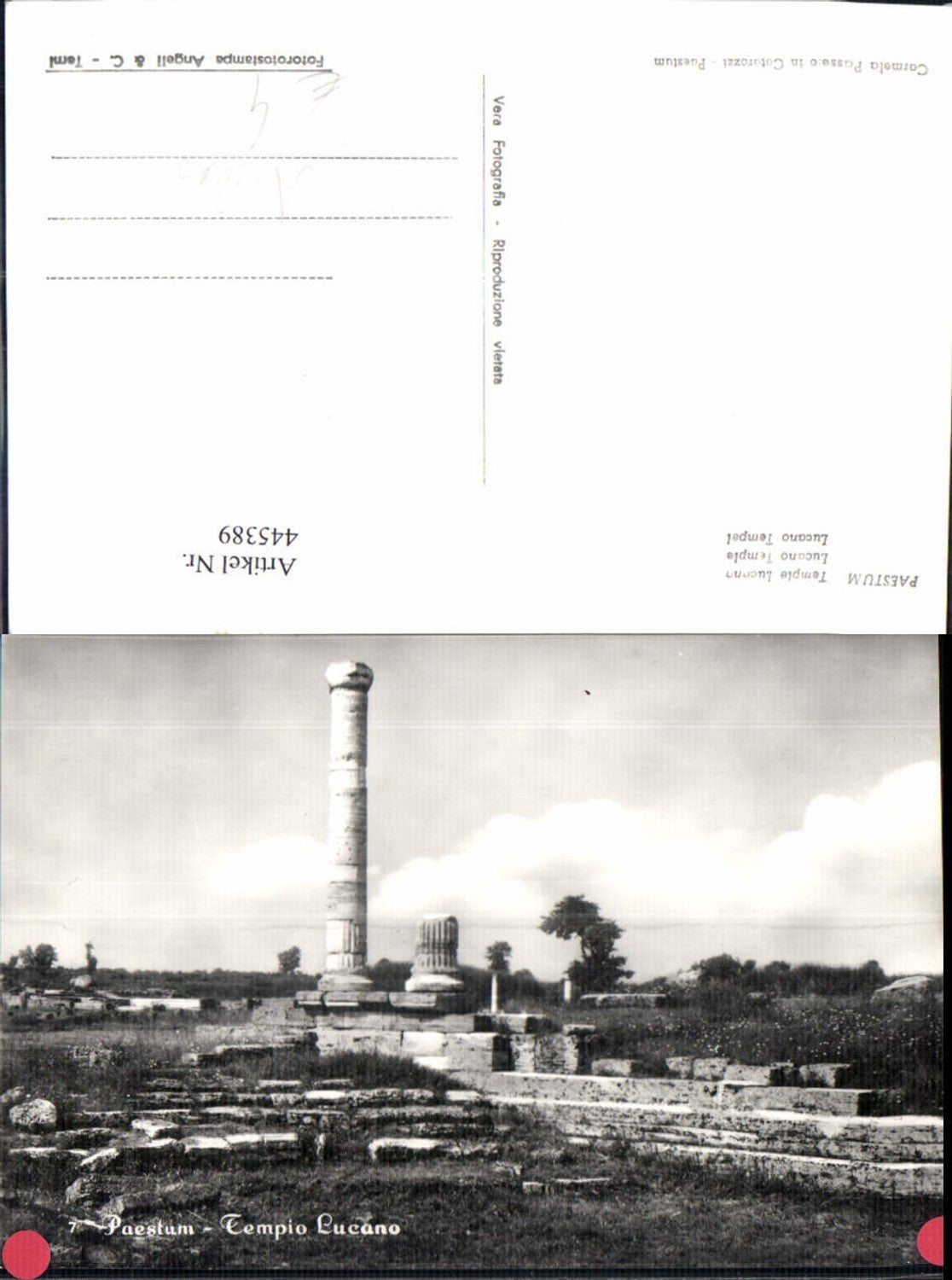 445389,Paestum Lucano Tempel Archäologie Ausgrabung