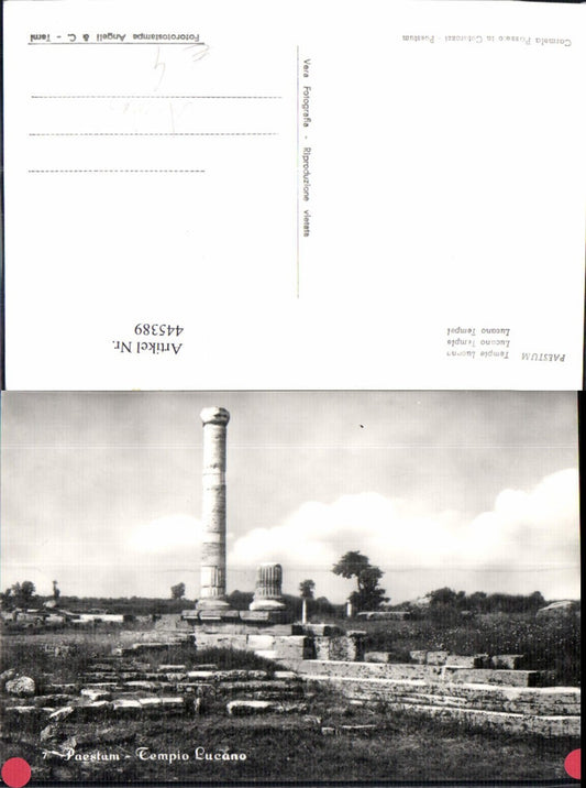 445389,Paestum Lucano Tempel Archäologie Ausgrabung