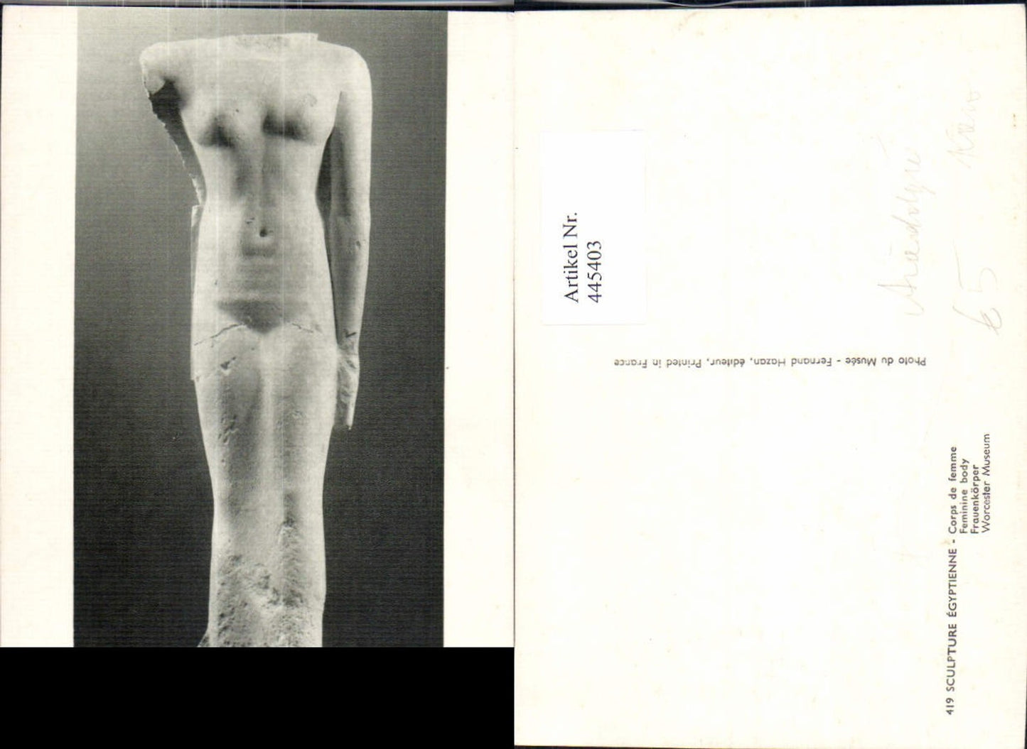 445403,Worcester Museum Frauenkörger Ägypten Archäologie Ausgrabung